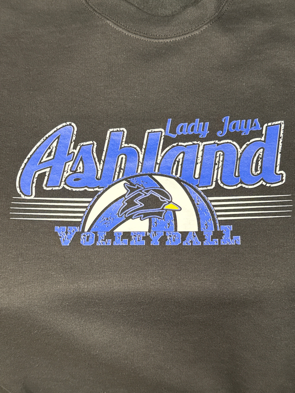 Volleyball