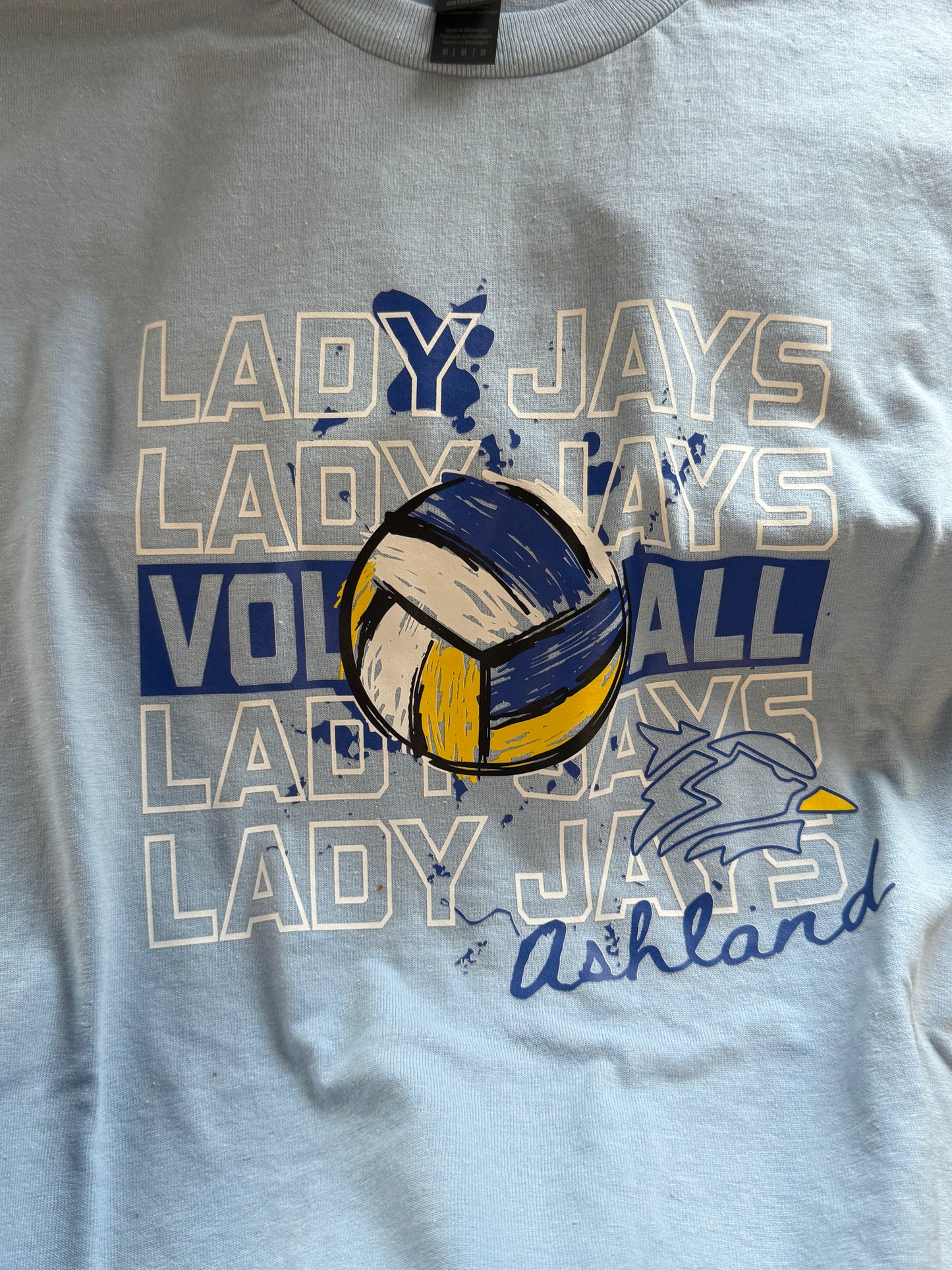 Volleyball